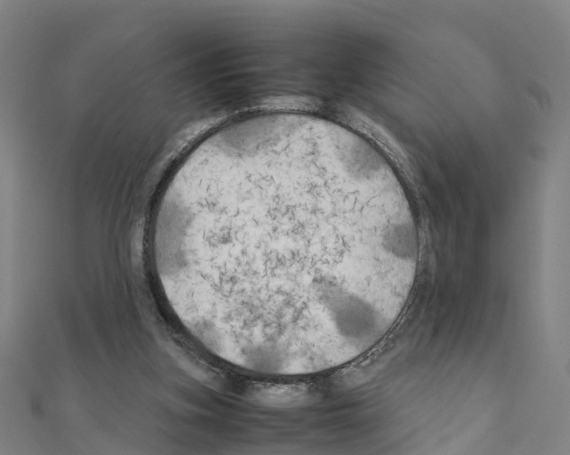 X0000111210155200908121140