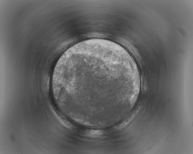 X0000111210157200908121140