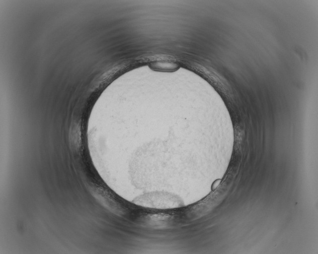 X0000111210158200908121140