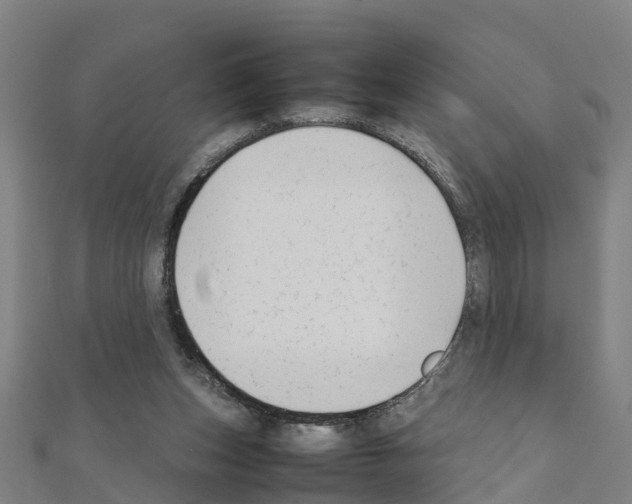 X0000111210159200908121140