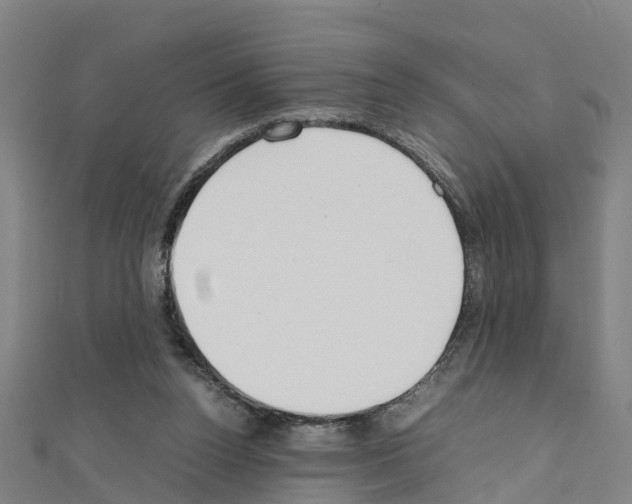 X0000111210160200908121140