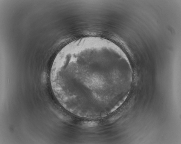 X0000111210161200908121140