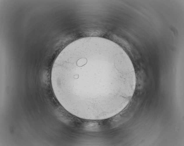 X0000111210162200908121140