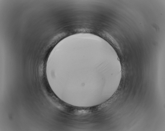 X0000111210163200908121140