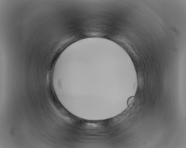 X0000111210167200908121140