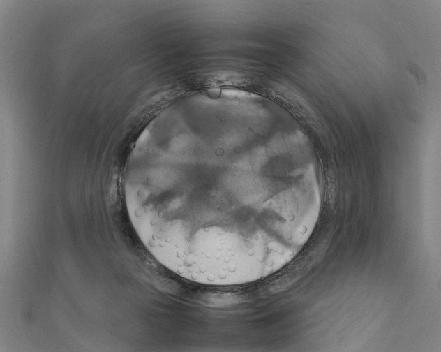 X0000111210169200908121140