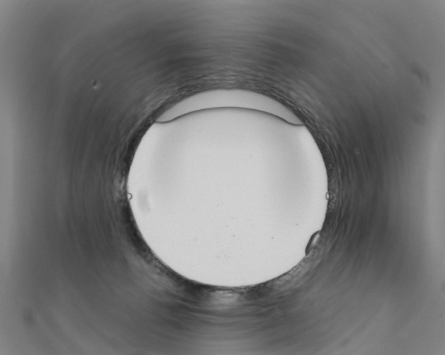 X0000111210176200908121140