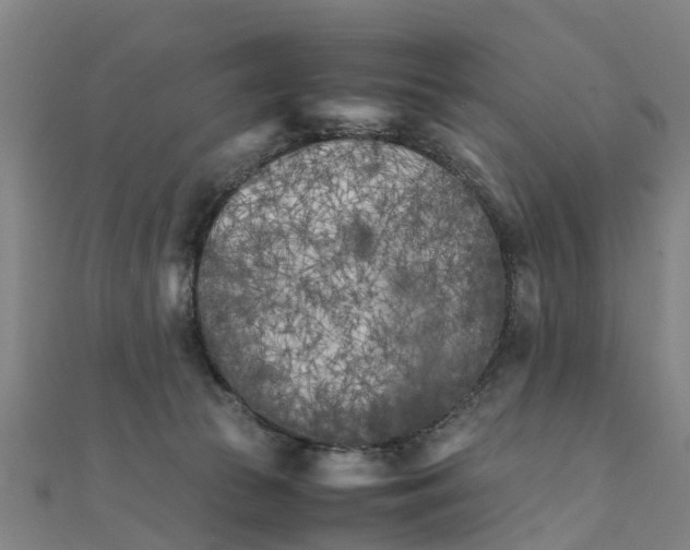 X0000111210177200908121140