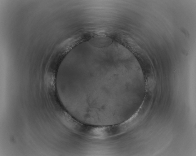 X0000111210178200908121140