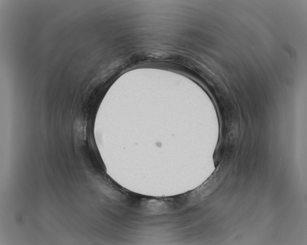 X0000111210180200908121140