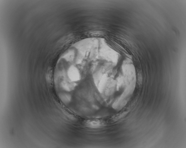 X0000111210181200908121140