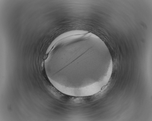 X0000111210186200908121140