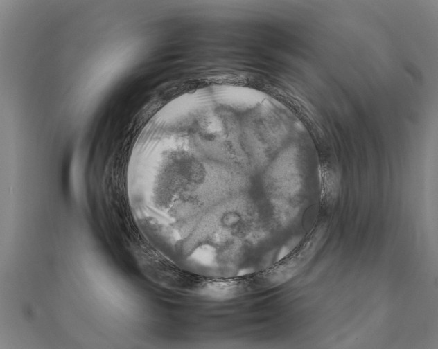 X0000111210189200908121140