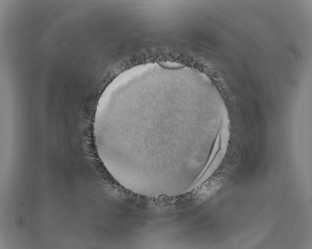 X0000111210192200908121140