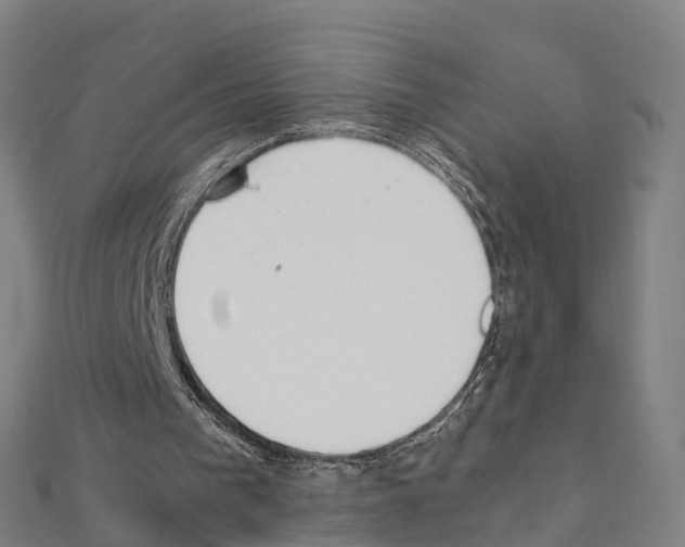 X0000111210193200908121140