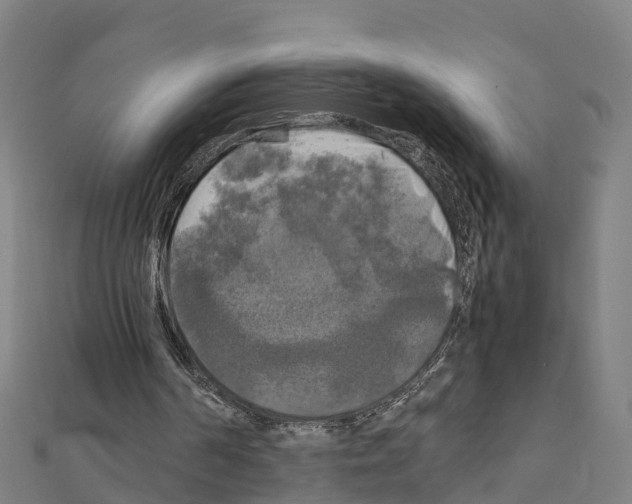 X0000111210194200908121140