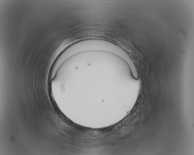 X0000111210195200908121140