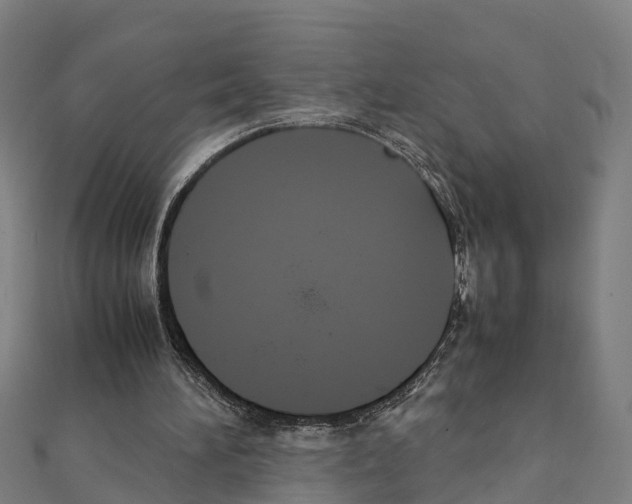 X0000111210196200908121140