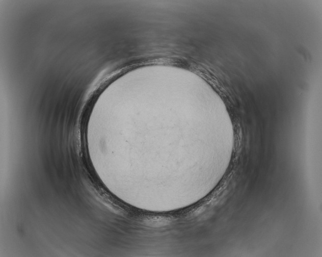 X0000111210198200908121140