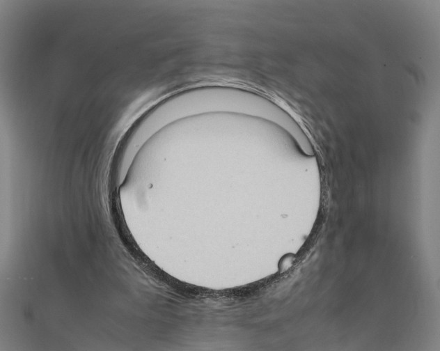 X0000111210199200908121140