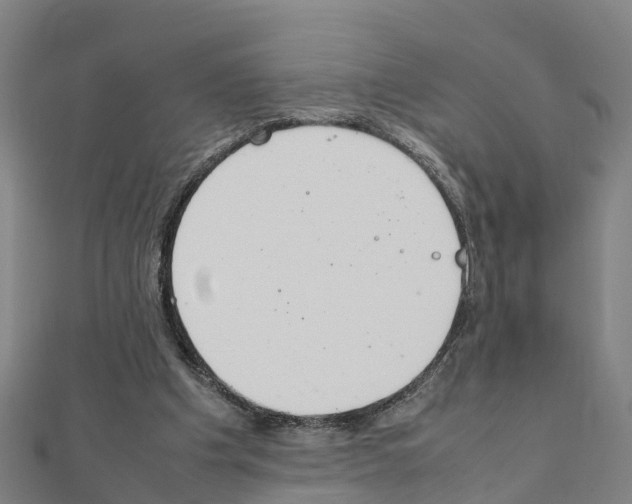 X0000111210201200908121140