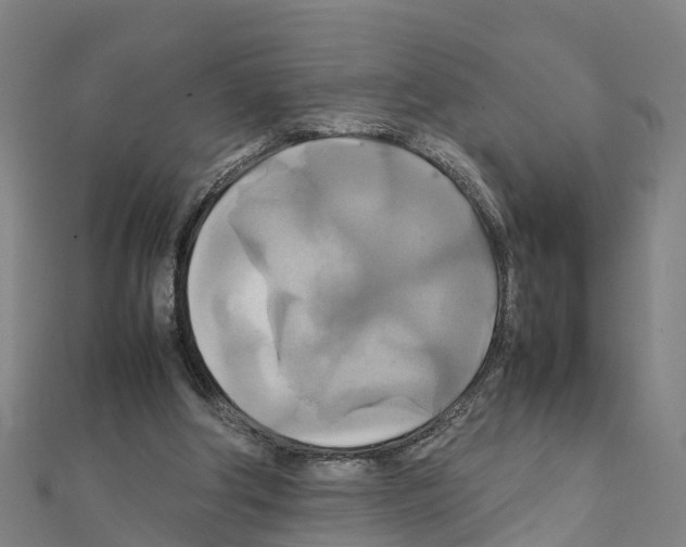 X0000111210202200908121140