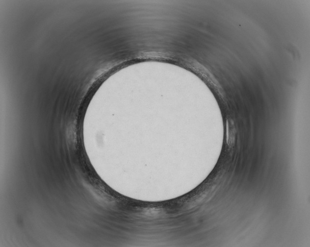 X0000111210204200908121140