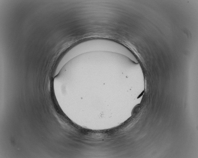 X0000111210205200908121140