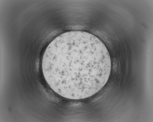 X0000111210206200908121139