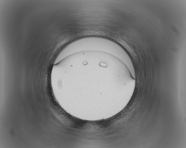 X0000111210207200908121139