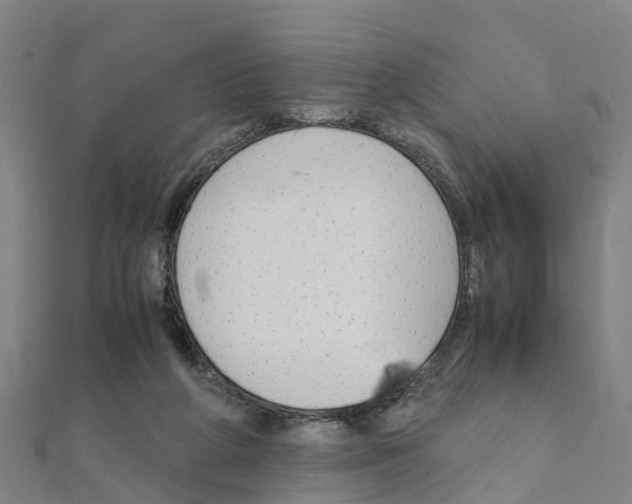 X0000111210210200908121139