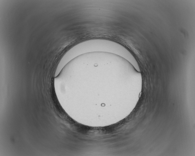 X0000111210211200908121139