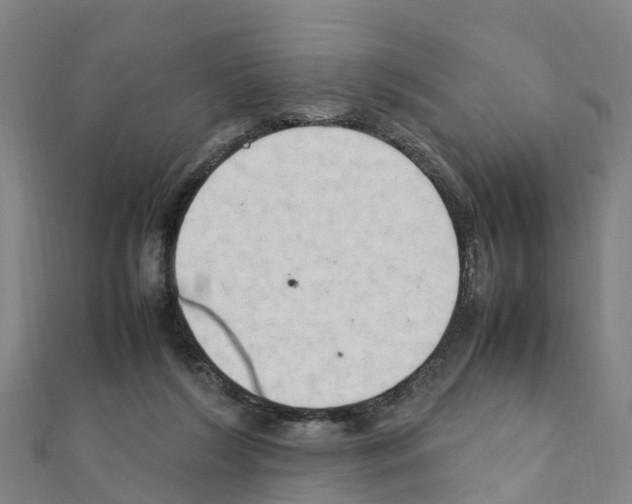 X0000111210212200908121139