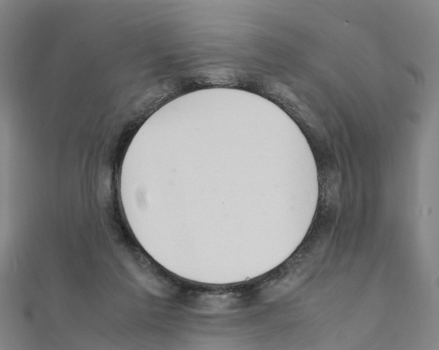 X0000111210213200908121139