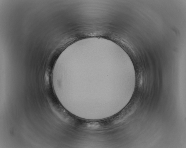 X0000111210214200908121139