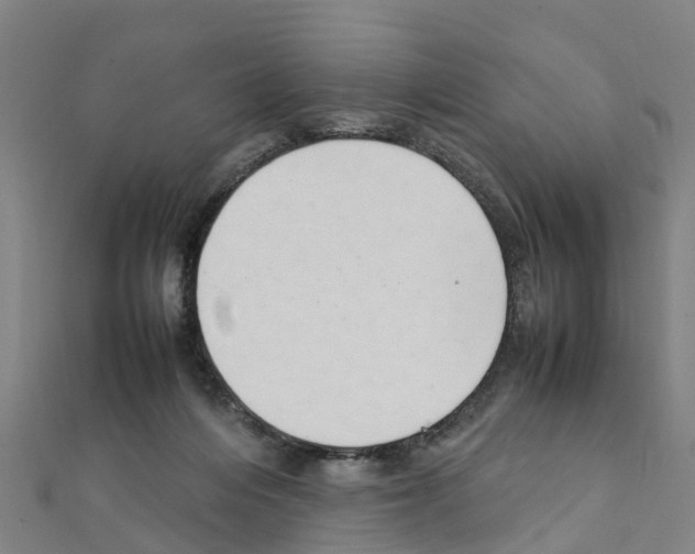 X0000111210216200908121139