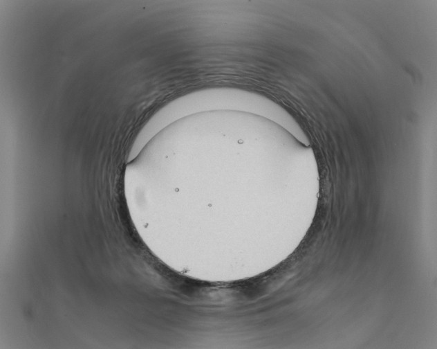 X0000111210219200908121139