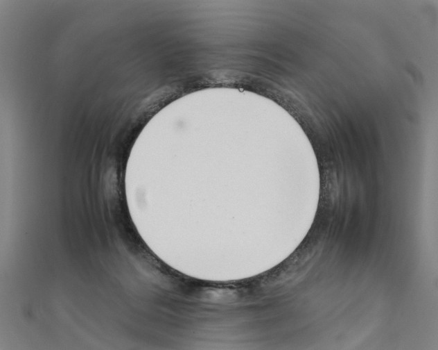 X0000111210220200908121139