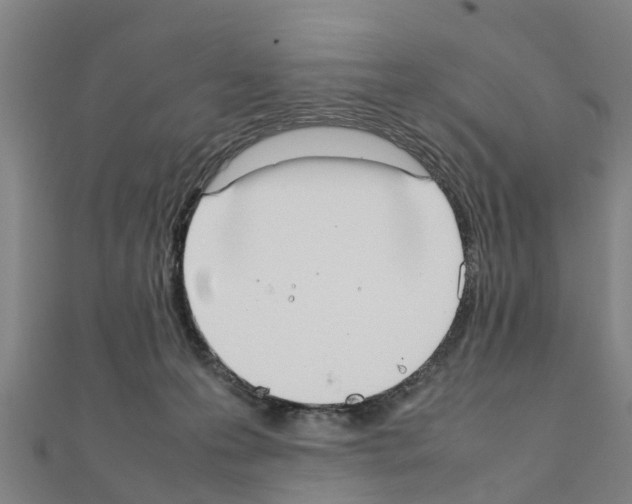 X0000111210223200908121139