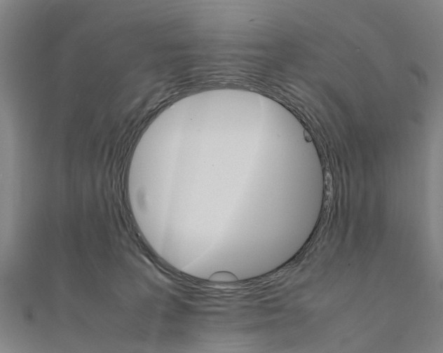 X0000111210227200908121139