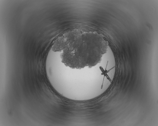 X0000111210228200908121139