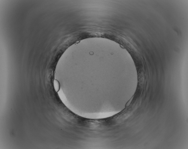 X0000111210229200908121139