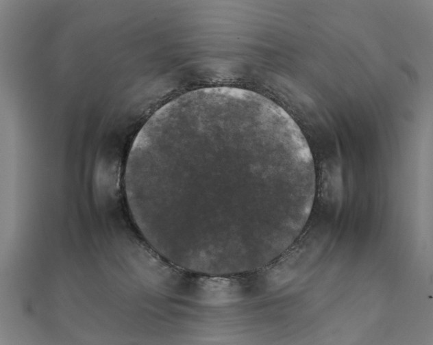 X0000111210230200908121139