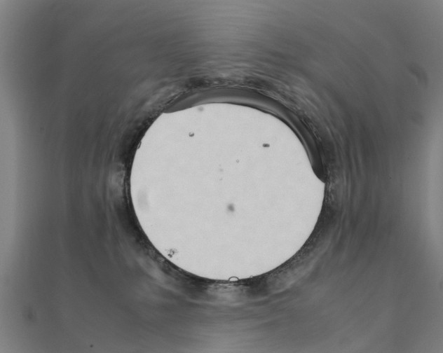 X0000111210231200908121139