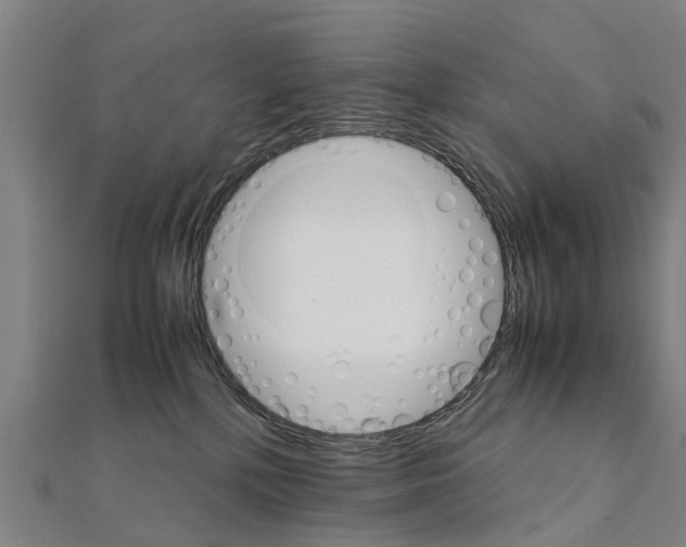 X0000111210232200908121139