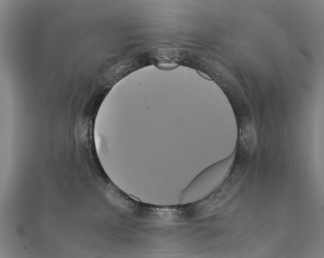 X0000111210233200908121139