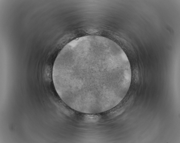 X0000111210234200908121139