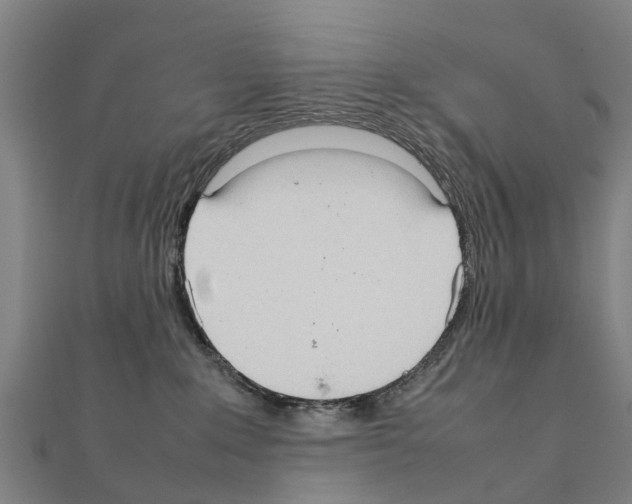 X0000111210235200908121139