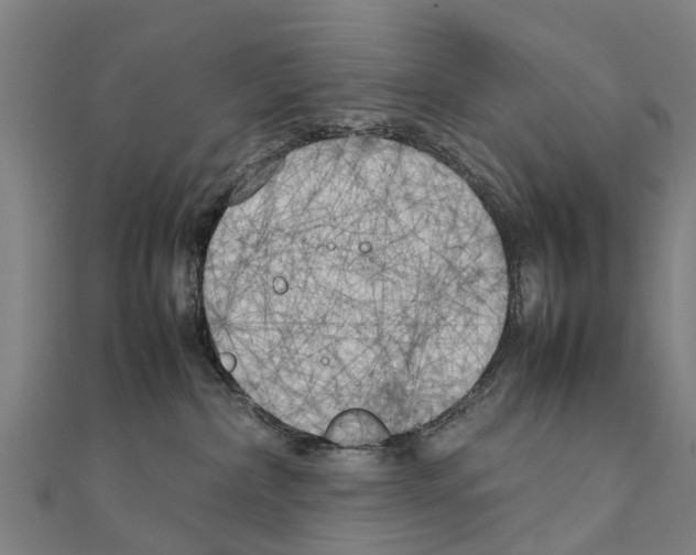 X0000111210236200908121139