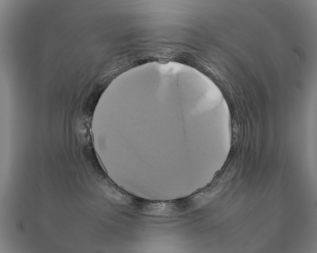 X0000111210237200908121139